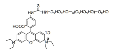 mPEG-Rhodamine B；甲氧基聚乙二醇罗丹明 