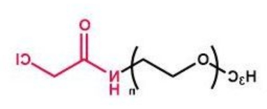 mPEG-Cl ；甲氧基聚乙二醇氯 mPEG-Chloride