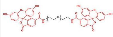 FITC-PEG-FITC;二荧光素聚乙二醇;Fluoresein-PEG-Fluoresein FITC-PEG-FITC;二荧光素聚乙二醇;Fluoresein-PEG-Fluoresein
