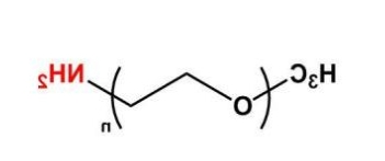mPEG-NH2；mPEG-Amine；甲氧基聚乙二醇胺
