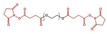 SS-PEG-SS；二琥珀酰亚胺丁二酸酯聚乙二醇；Succinimidyl Succinate ester-PEG-Succinimidyl Succinate ester