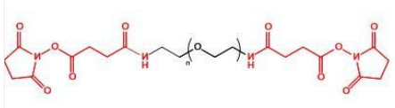 SAS-PEG-SAS；二琥珀酰胺琥珀酰亚胺酯聚乙二醇；Succinamide Succinimidyl ester-PEG-Succinamide