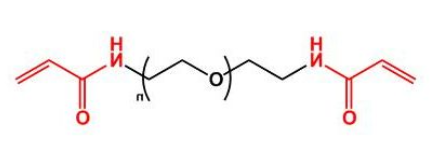 ACA-PEG-ACA；二丙烯酰胺聚乙二醇；丙烯酰胺PEG丙烯酰胺