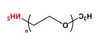 mPEG-NH2；mPEG-Amine；甲氧基聚乙二醇胺 