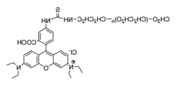mPEG-Rhodamine B；甲氧基聚乙二醇罗丹明 