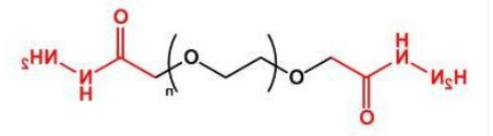 Hydrazide-PEG-Hydrazide；二酰肼聚乙二醇；HZ-PEG-HZ