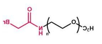 mPEG-Bromide；mPEG-Br；甲氧基聚乙二醇酰胺溴