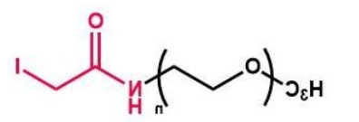 mPEG-IA；mPEG-Iodine；甲氧基聚乙二醇酰碘乙酰胺 