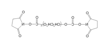 SC-PEG-SC；二琥珀酰亚胺碳酸酯聚乙二醇；PEG-(bis) Succinimidyl ester