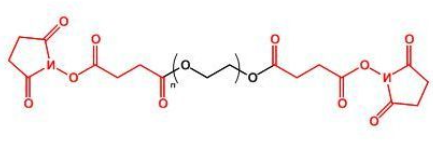 SS-PEG-SS；二琥珀酰亚胺丁二酸酯聚乙二醇；Succinimidyl Succinate ester-PEG-Succinimidyl Succinate ester