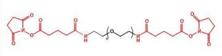 GAS-PEG-GAS；二戊二酰胺琥珀酰亚胺聚乙二醇；Glutaramide Succinimidyl ester-PEG-Glutaramide