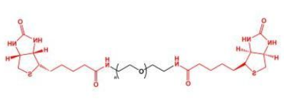 BN-PEG-BN;二生物素聚乙二醇;Biotin-PEG-Biotin BN-PEG-BN;二生物素聚乙二醇;Biotin-PEG-Biotin