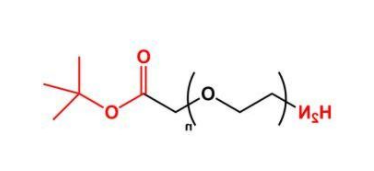 NH2-PEG-COOtBu；氨基聚乙二醇叔丁酯；COOtBu-PEG-NH2