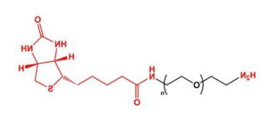 NH2-PEG-Biotin；氨基聚乙二醇生物素；Biotin-PEG-NH2