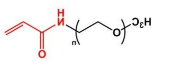 mPEG-ACA；mPEG-Acrylamide；甲氧基聚乙二醇丙烯酰胺 
