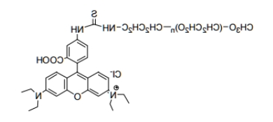 mPEG-Rhodamine B；mPEG-RB；甲氧基聚乙二醇罗丹明 