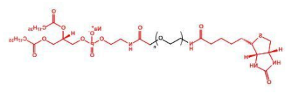 Biotin-PEG-DSPE；生物素聚乙二醇磷脂；DSPE-PEG-Biotin