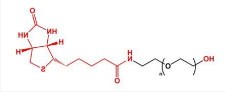 HO-PEG-Biotin；羟基聚乙二醇生物素；Biotin-PEG-OH