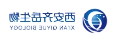 mPEG-DPPE;甲氧基聚乙二醇二棕榈酰磷脂酰乙酰胺 mPEG-DPPE;甲氧基聚乙二醇二棕榈酰磷脂酰乙酰胺