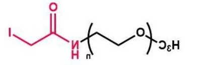 mPEG-IA；mPEG-Iodine；甲氧基聚乙二醇酰碘乙酰胺 
