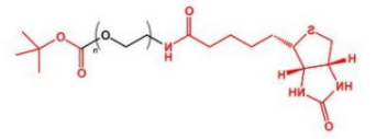 Biotin-PEG-COOtBu；生物素聚乙二醇叔丁酯；Biotin-PEG-TERT