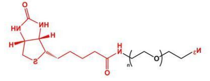N3-PEG-Biotin；叠氮聚乙二醇生物素；Biotin-PEG-Azide