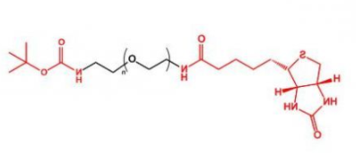 生物素聚乙二醇叔丁氧羰基  Biotin-PEG-NH-Boc