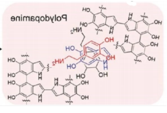 聚多巴胺的结构式