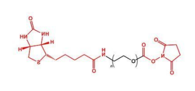 NHS-PEG-Biotin；活性酯聚乙二醇生物素；Biotin-PEG-NHS