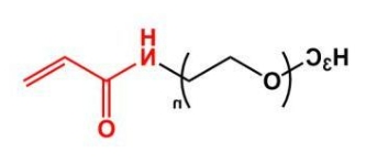 mPEG-ACA；mPEG-Acrylamide；甲氧基聚乙二醇丙烯酰胺 
