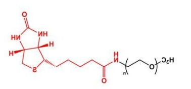 mPEG-Biotin；mPEG-BN；甲氧基聚乙二醇生物素 