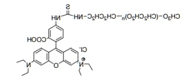 mPEG-Rhodamine B；甲氧基聚乙二醇罗丹明