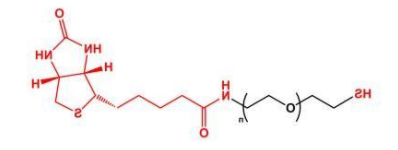SH-PEG-Biotin；巯基聚乙二醇生物素；Biotin-PEG-SH
