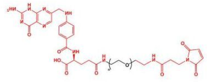 FA-PEG-MAL；叶酸聚乙二醇马来酰亚胺；Folate-PEG-Mal
