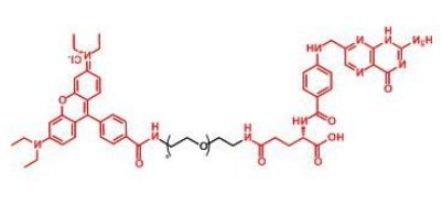 RB-PEG-FA；罗丹明聚乙二醇叶酸；Folate-PEG-RB