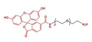 FITC-PEG-NH2;荧光素聚乙二醇氨基;Amine-PEG-FITC FITC-PEG-NH2;荧光素聚乙二醇氨基;Amine-PEG-FITC