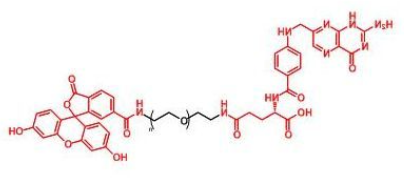 FITC-PEG-FA；荧光素聚乙二醇叶酸；Folate-PEG-FITC