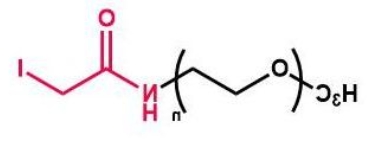 mPEG-I mPEG-Iodine;甲氧基聚乙二醇酰胺碘 mPEG-I mPEG-Iodine;甲氧基聚乙二醇酰胺碘
