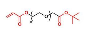 COOtBu-PEG-AC；叔丁酯聚乙二醇丙烯酸酯；COOtBu-PEG-Acrylate