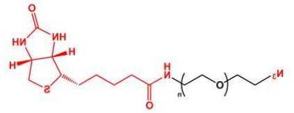 N3-PEG-Biotin；叠氮聚乙二醇生物素；Azide-PEG-Biotin
