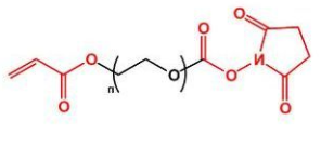NHS-PEG-AC；活性酯聚乙二醇丙烯酸酯；NHS-PEG-Acrylate