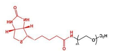 mPEG-Biotin；甲氧基聚乙二醇生物素 