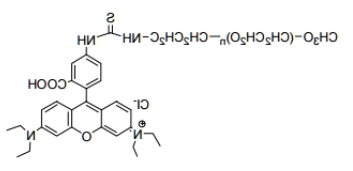 mPEG-Rhodamine B;甲氧基聚乙二醇罗丹明 mPEG-Rhodamine B;甲氧基聚乙二醇罗丹明