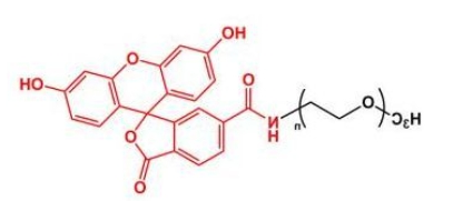 mPEG-Fluoresein；mPEG-FITC；甲氧基聚乙二醇荧光素 