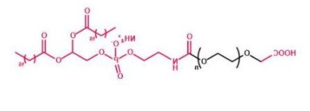 DSPE-PEG-COOH；磷脂聚乙二醇羧基；DSPE-PEG-Acid