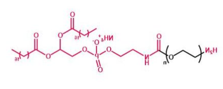 DSPE-PEG-NH2；磷脂聚乙二醇氨基；DSPE-PEG-Amine