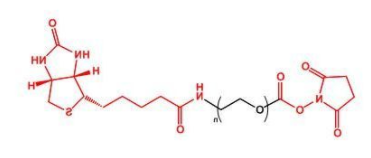 NHS-PEG-Biotin；活性酯聚乙二醇生物素；Biotin-PEG-NHS