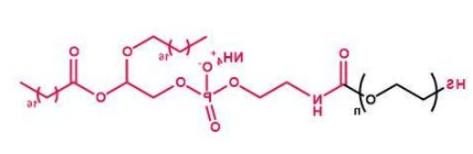 DSPE-PEG-SH；磷脂聚乙二醇巯基；DSPE-PEG-Thiol
