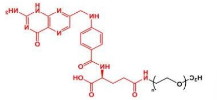 mPEG-FA ;mPEG-Folate;甲氧基聚乙二醇叶酸 mPEG-FA ;mPEG-Folate;甲氧基聚乙二醇叶酸