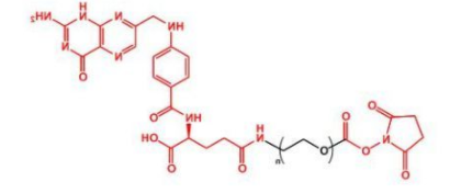 NHS-PEG-FA；活性酯聚乙二醇叶酸；Folate-PEG-NHS